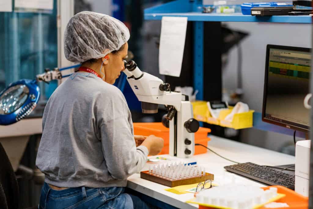 111724_Hoffer-111-Medical Visual Inspection